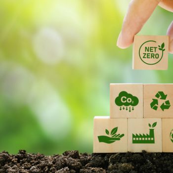 Why Shoe Sustainability Is Important For The Environment